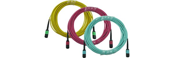 MPO/MTP Cable