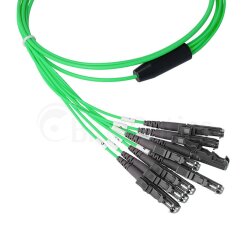 BlueOptics Fibra MTP/4xE2000 Cable de parcheo OM5
