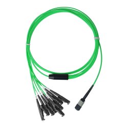 BlueOptics Fiber MPO/4xE2000 Breakout Cable OM5