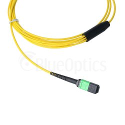 BlueOptics Fibra MPO/4xE2000 Cable de parcheo G.657.A1 Single-mode 5 Metros