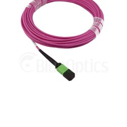 BlueOptics Fiber MPO/APC Trunk Cable OM4 16 Cores Type B
