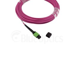 BlueOptics Fibra MPO/APC Cable de parcheo OM4 16 Nucleos Tipo B