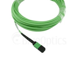 BlueOptics Fiber MPO/APC Trunk Cable OM5 16 Cores Type A