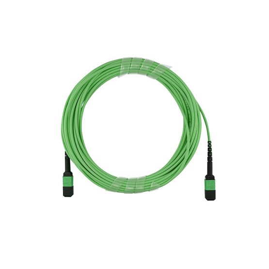 BlueOptics Fibra MPO/APC Cable de parcheo OM5 16 Nucleos Tipo B