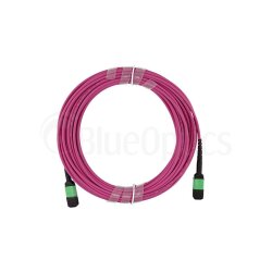 BlueOptics Fibra MTP/APC Cable de parcheo OM4 16 Nucleos Tipo B