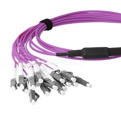 BlueOptics Fibra MPO/APC-8xLC/UPC Cable de parcheo OM4