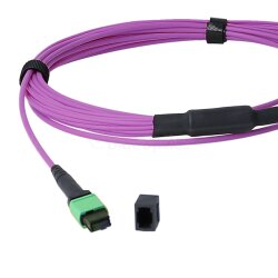 BlueOptics LWL MPO/APC-8xLC/UPC Duplex Breakout Kabel OM4