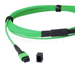 BlueOptics Fiber MPO/APC-8xLC/UPC Duplex Breakout Cable OM5