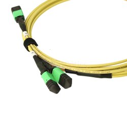 BlueOptics Fiber MPO-16/APC-2xMPO-12/UPC Breakout Cable G.657.A1 Single-mode