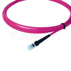 BlueOptics Duplex Cable de parcheo de fibra óptica MTRJ-MTRJ Monomode OM4 2 Metros
