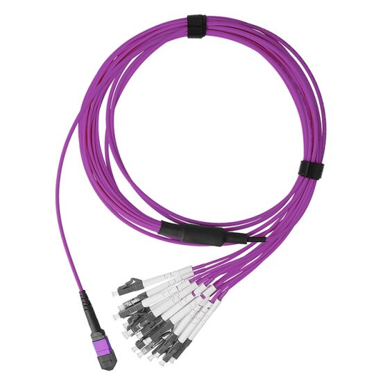 BlueOptics Fibra MPO/8xLC Duplex Cable de parcheo OM4 30 Metros