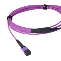 BlueOptics Fiber MPO/8xLC Duplex Breakout Cable OM4 1 Meter