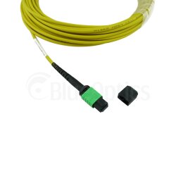 BlueOptics Fibra MPO Cable de parcheo Single-mode 16 Nucleos Type B
