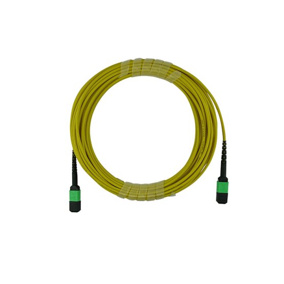 BlueOptics Fiber MPO Trunk Cable Single-mode 16 Cores 2 Meter Type C