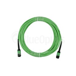 BlueOptics Fiber MPO Trunk Cable OM5 16 Cores 30 Meter Type C