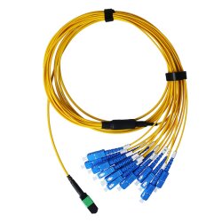 BlueOptics Fibra MPO/8xSC Duplex Cable de parcheo...