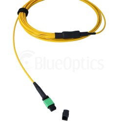 BlueOptics LWL MPO/8xSC Duplex Breakout Kabel G.657.A1 Singlemode