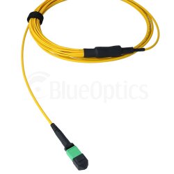 BlueOptics Fibra MPO/8xSC Duplex Cable de parcheo G.657.A1 Single-mode