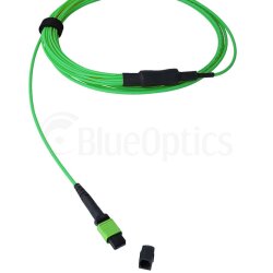 BlueOptics Fiber MPO/8xSC Duplex Breakout Cable OM5