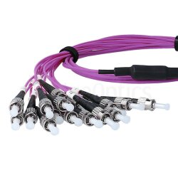 BlueOptics Fibra MPO/8xST Duplex Cable de parcheo OM4