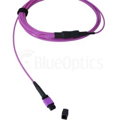 BlueOptics Fibra MPO/8xST Duplex Cable de parcheo OM4