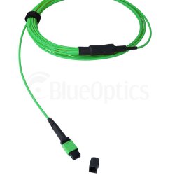 BlueOptics Fiber MPO/8xST Duplex Breakout Cable OM5