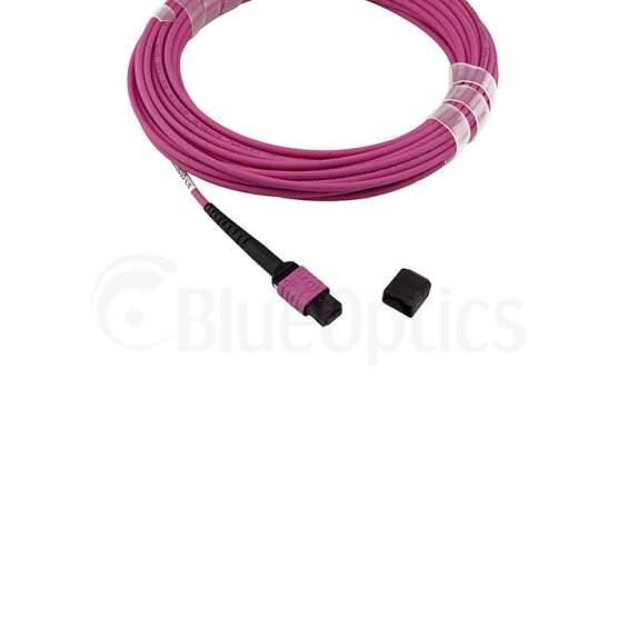 BlueOptics Fiber MPO/4xSC Breakout Cable OM4