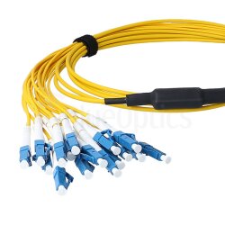 BlueOptics Fibra MTP/8xLC Duplex Cable de parcheo...