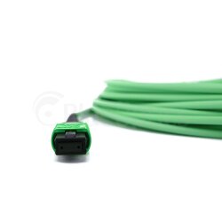 BlueOptics Fibra MTP/8xSC Duplex Cable de parcheo OM5