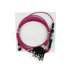 BlueOptics Fiber MTP/4xST Breakout Cable OM4 10 Meter