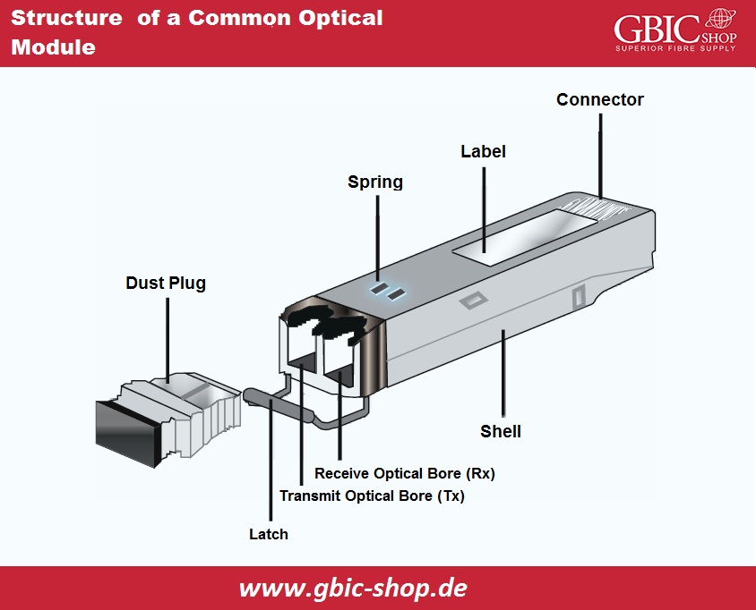 Structure of a common optical module